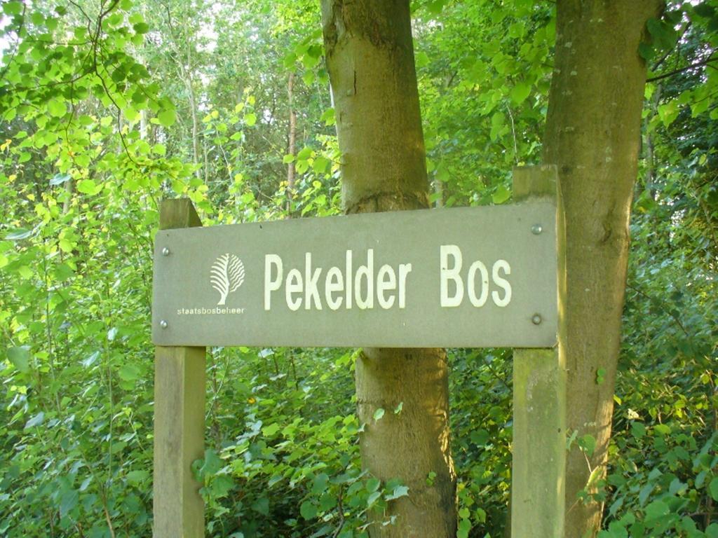 B&B De Wiekeborg Oude Pekela Εξωτερικό φωτογραφία
